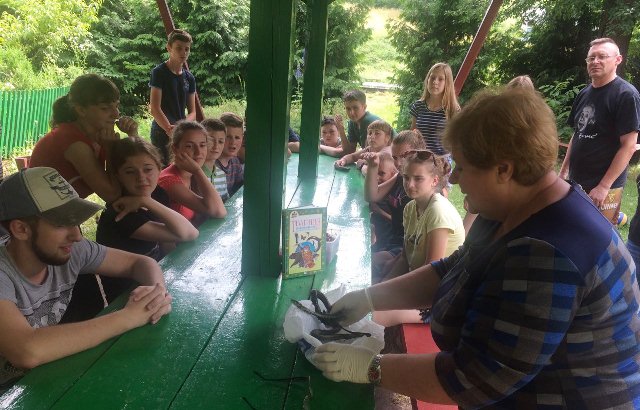 Вивчення морфологічних особливостей вужа звичайного